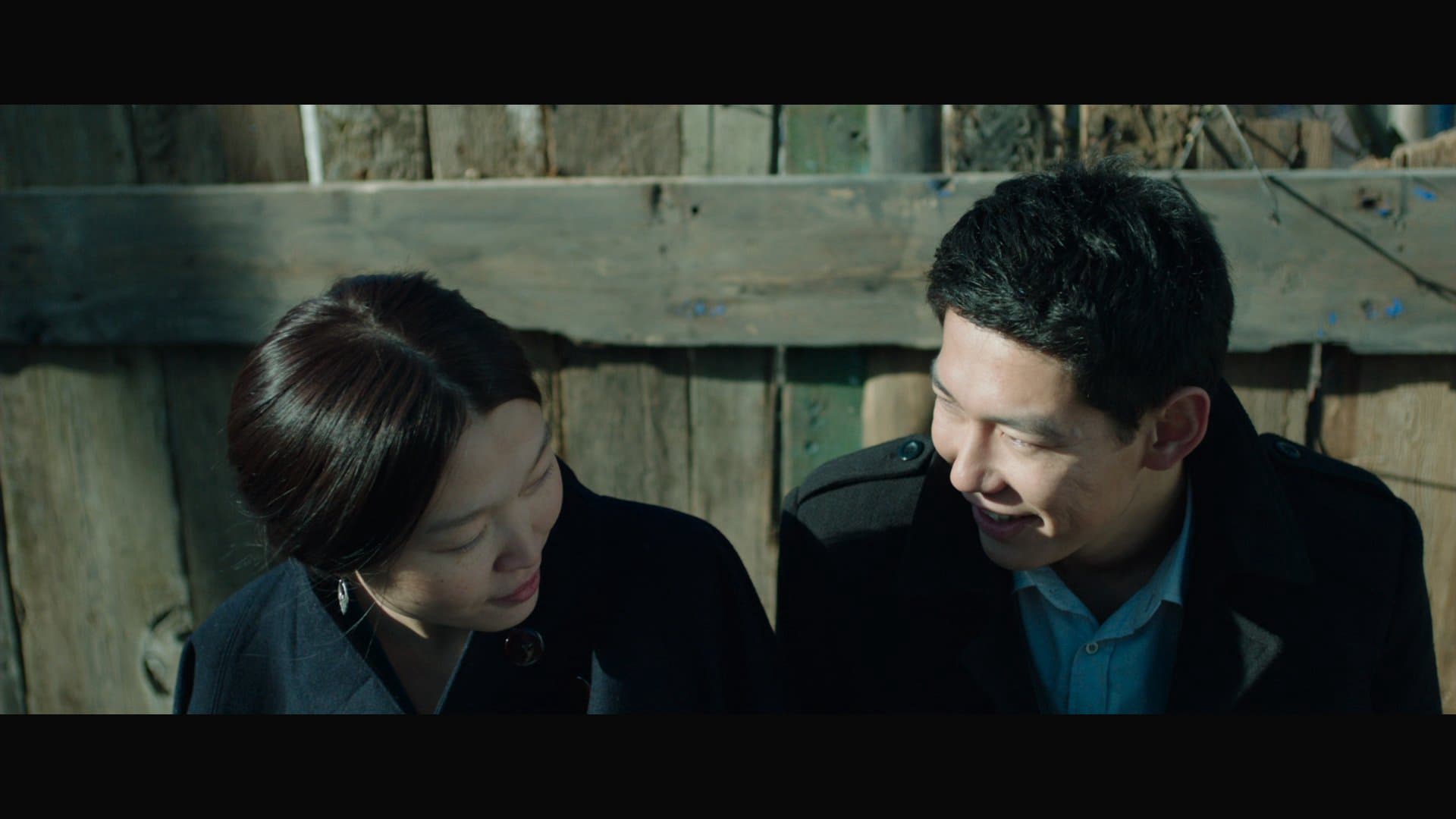 những con mòng biển